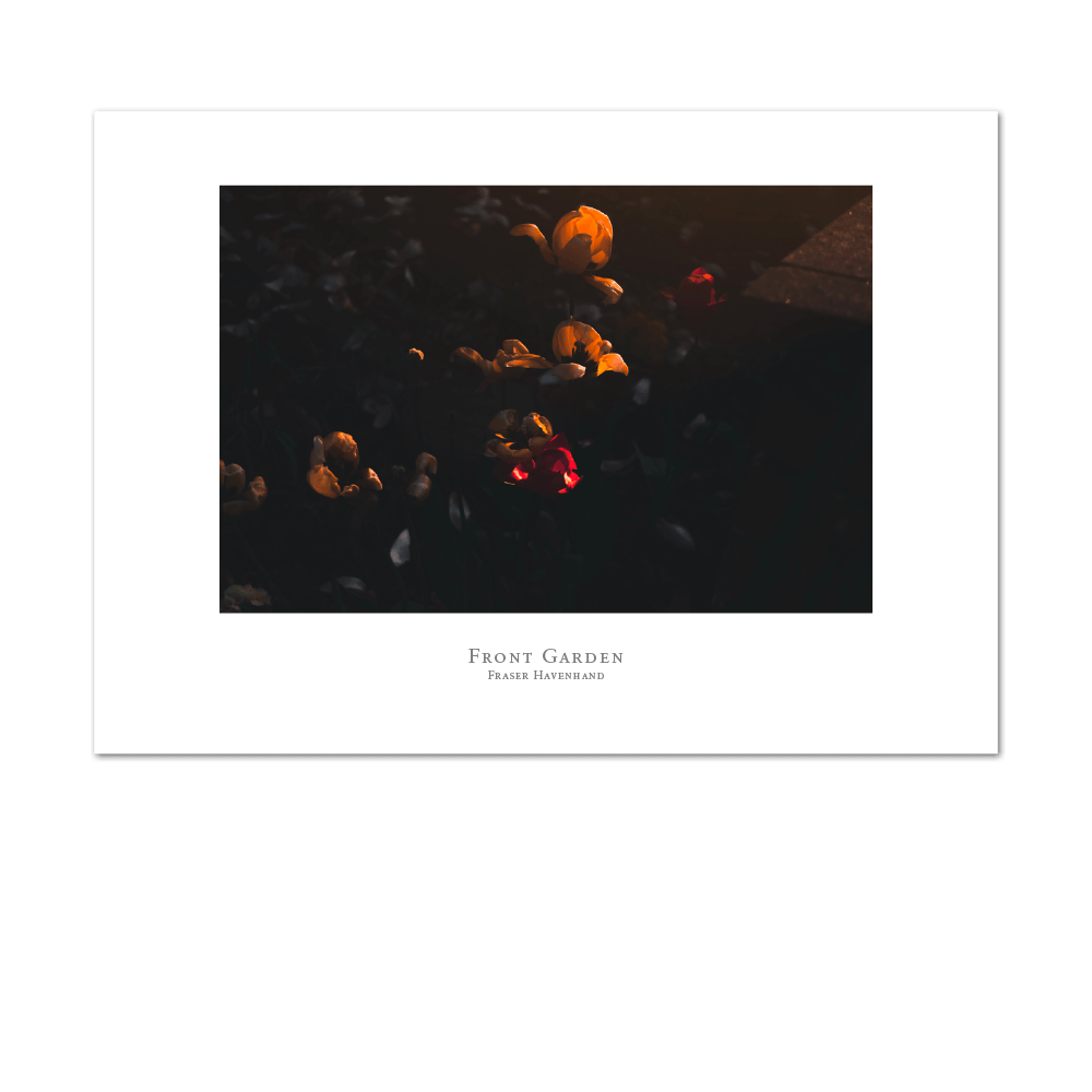 Picture of Front Garden | Large Print