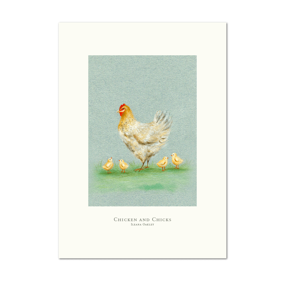 Show details for Chicken and Chicks | Small Print