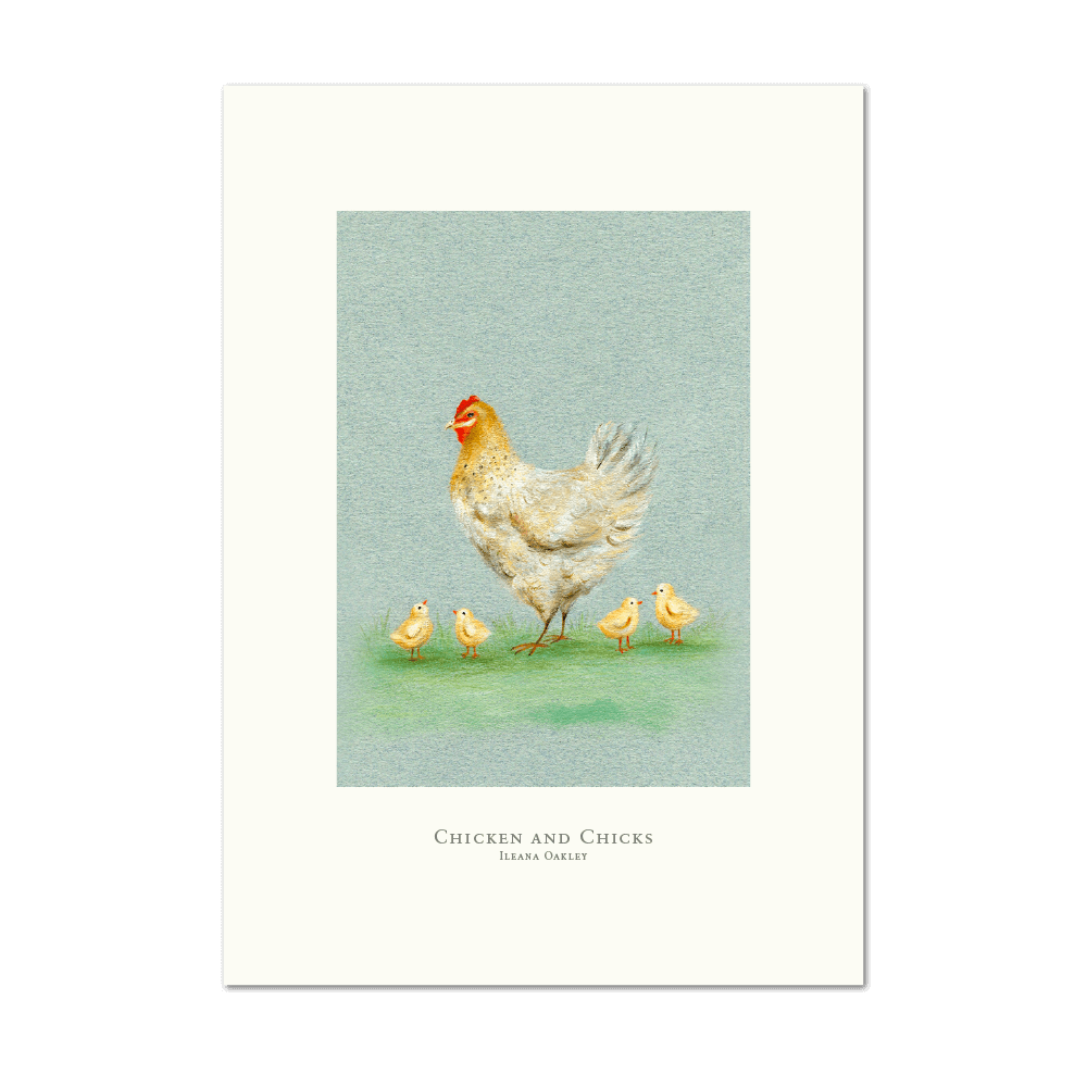 Picture of Chicken and Chicks | Large Print